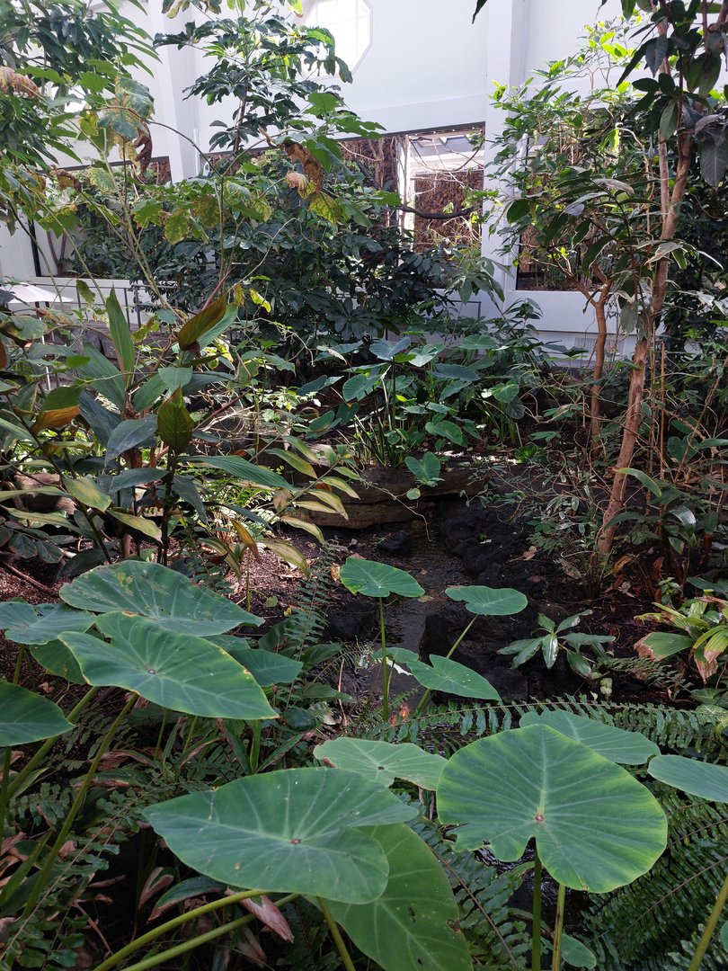 Bird house - main hall