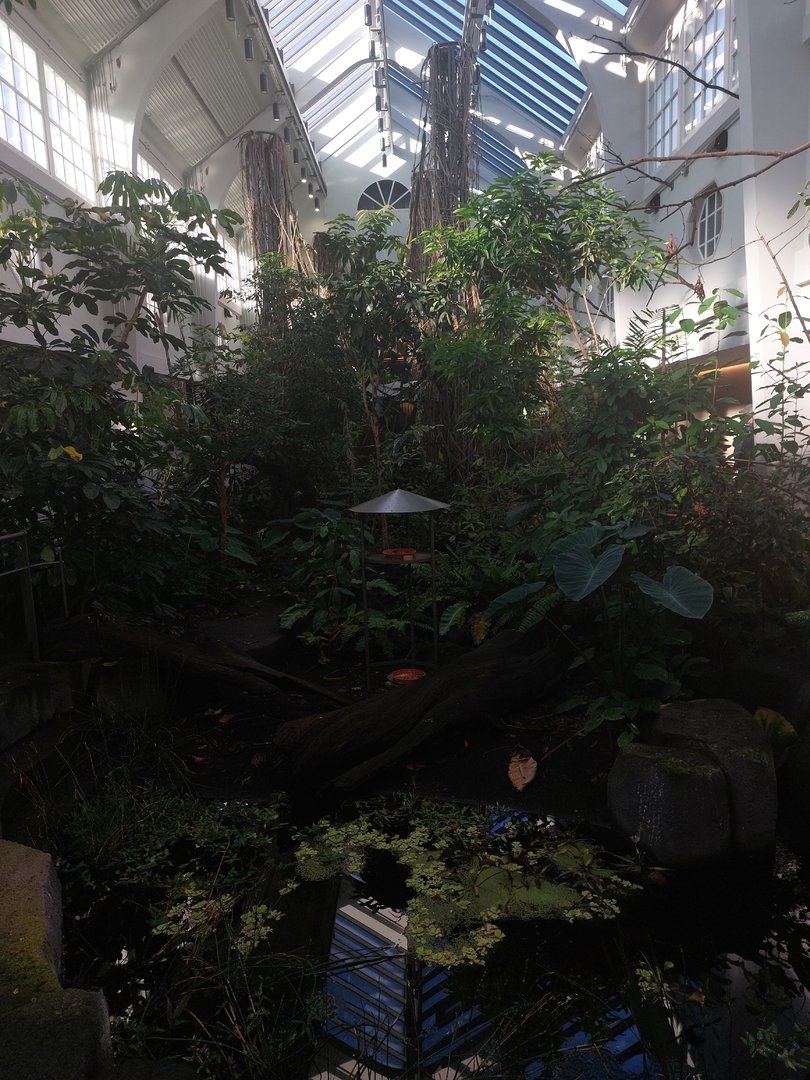 Bird house - Main walkthrough