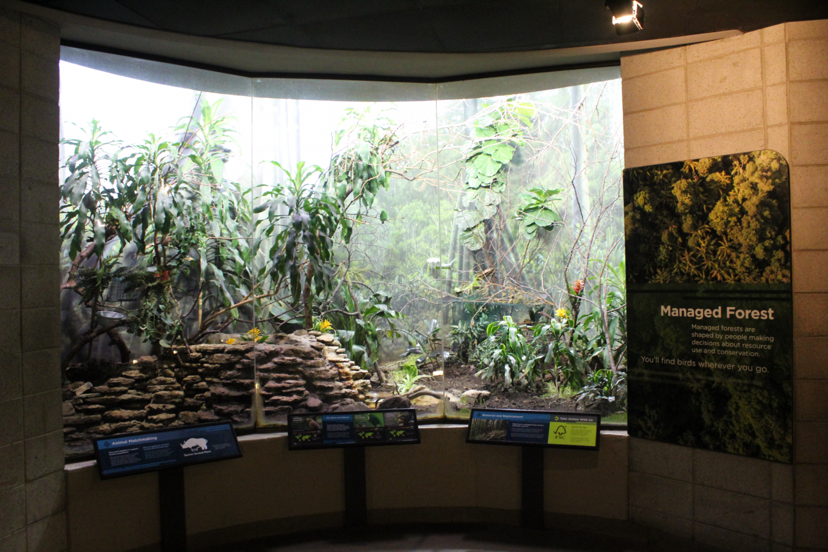 Bird House - Managed Forest Exhibit