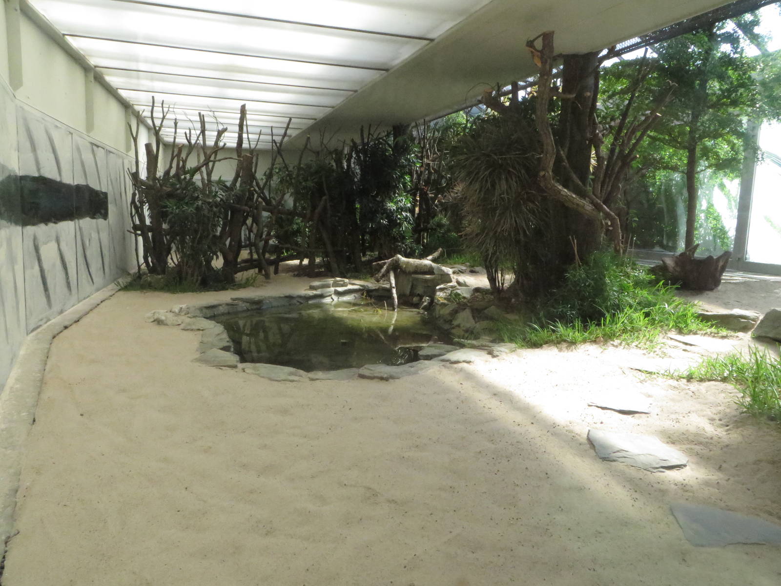 Bird house - Marabu enclosure