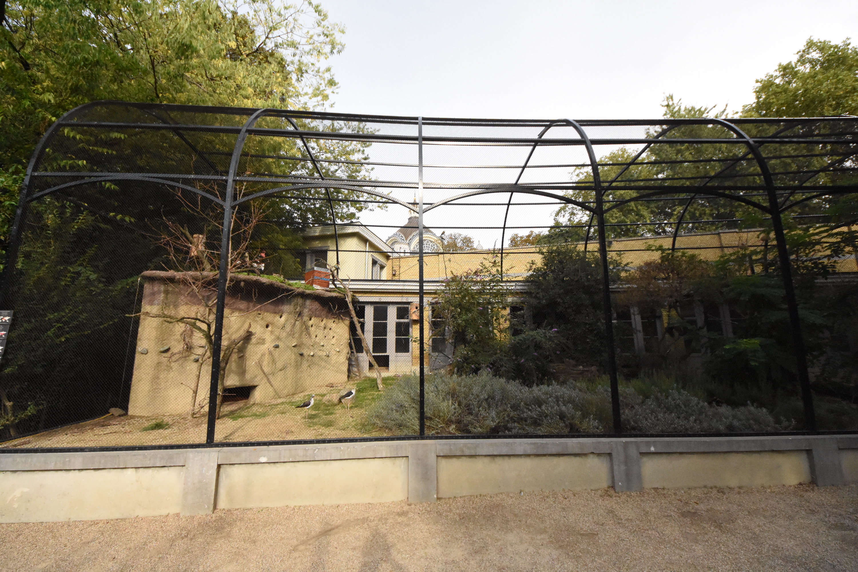 Bird house - Mediterranean aviary