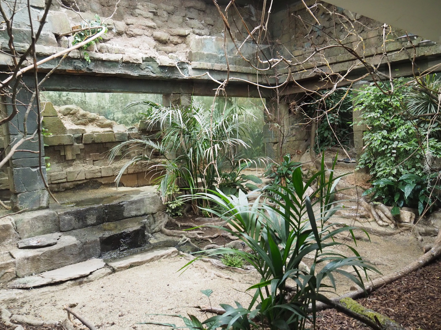 Bird House - Mixed American aviary