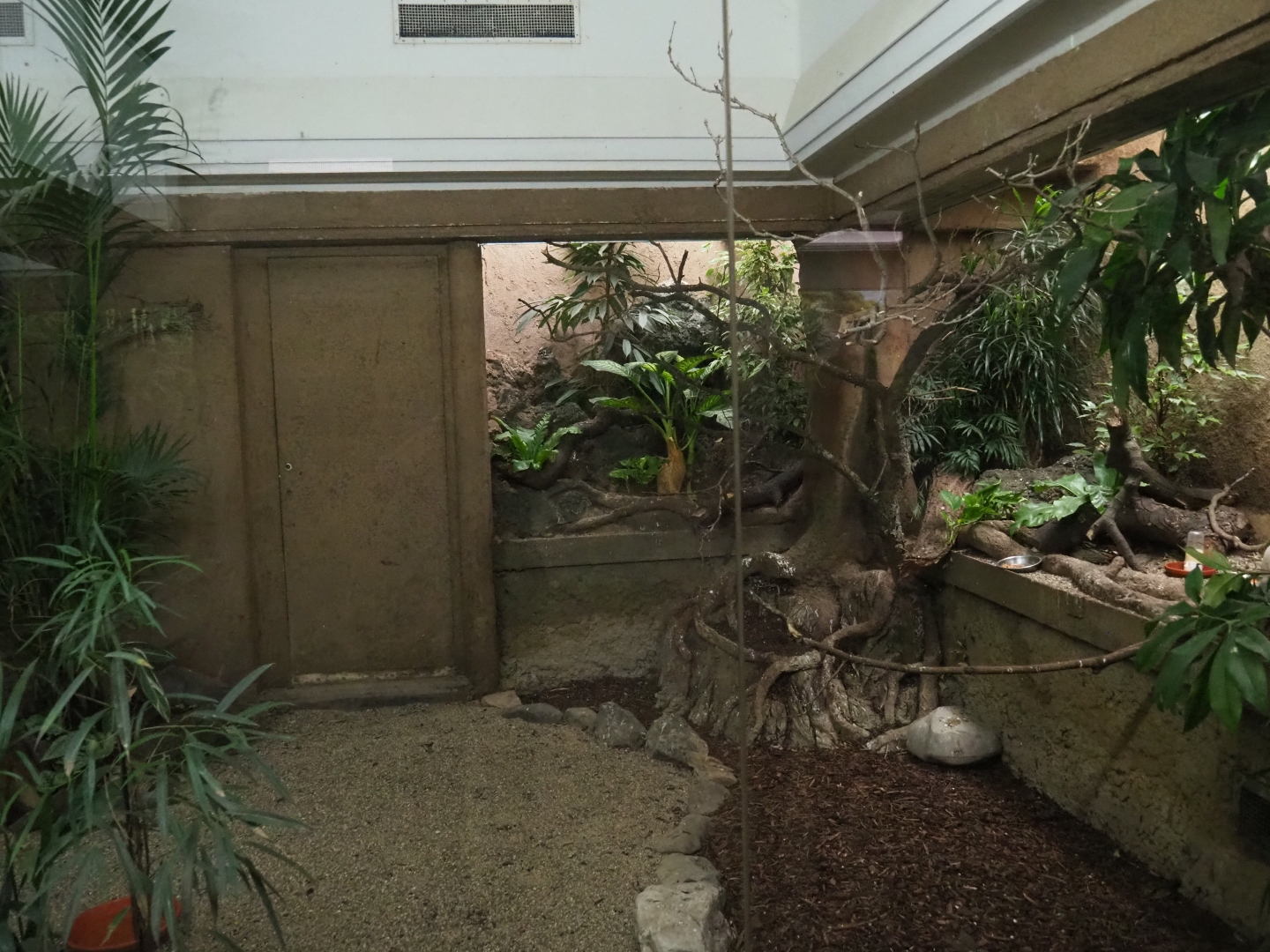 Bird House - Mixed Asian aviary