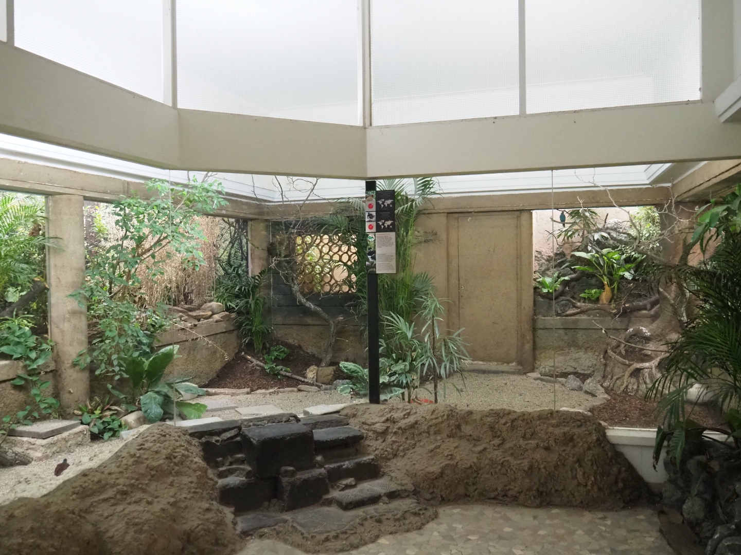 Bird House - Mixed Asian aviary