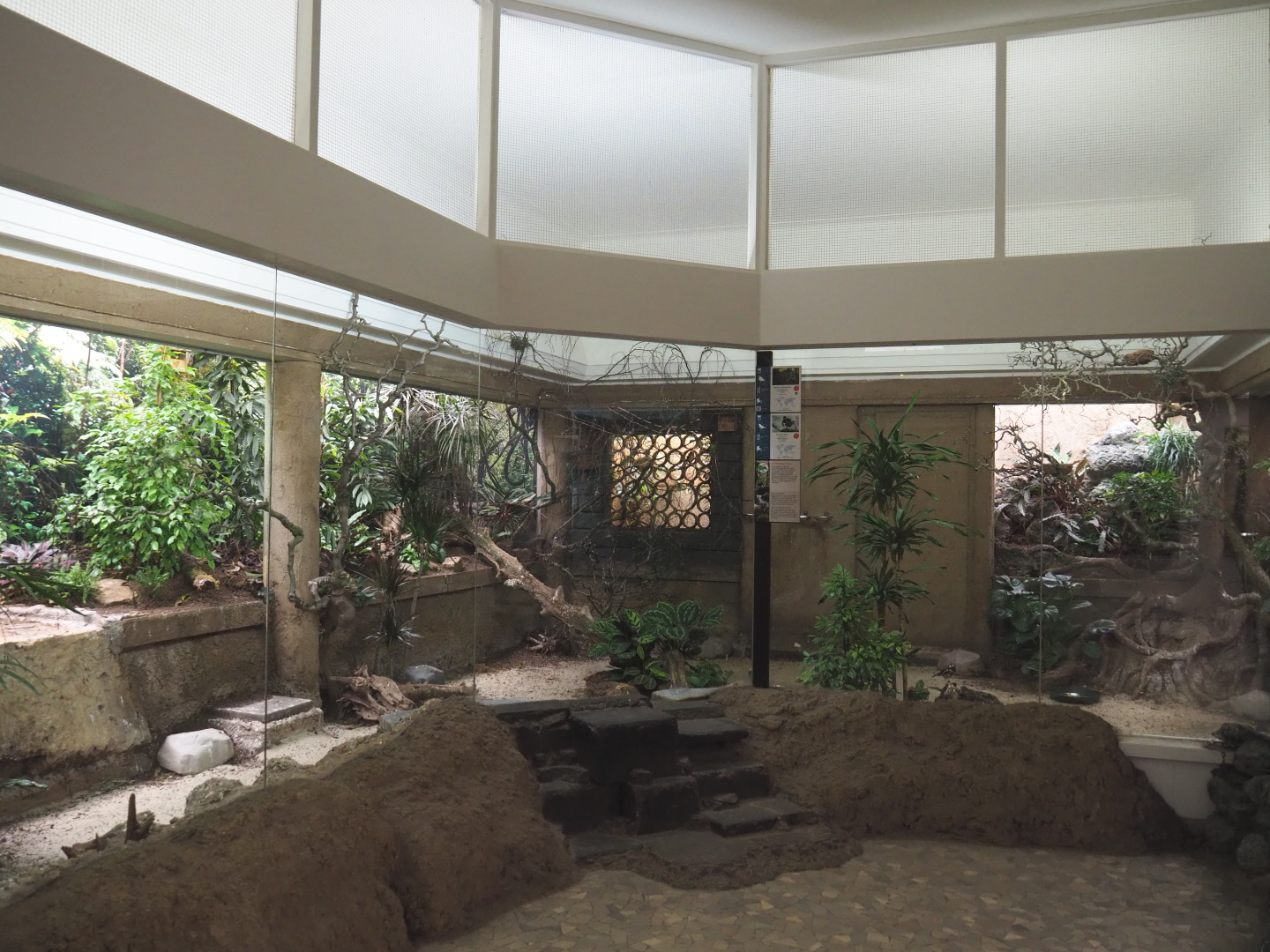 Bird house - Mixed Asian indoor aviary, 2021-07-17