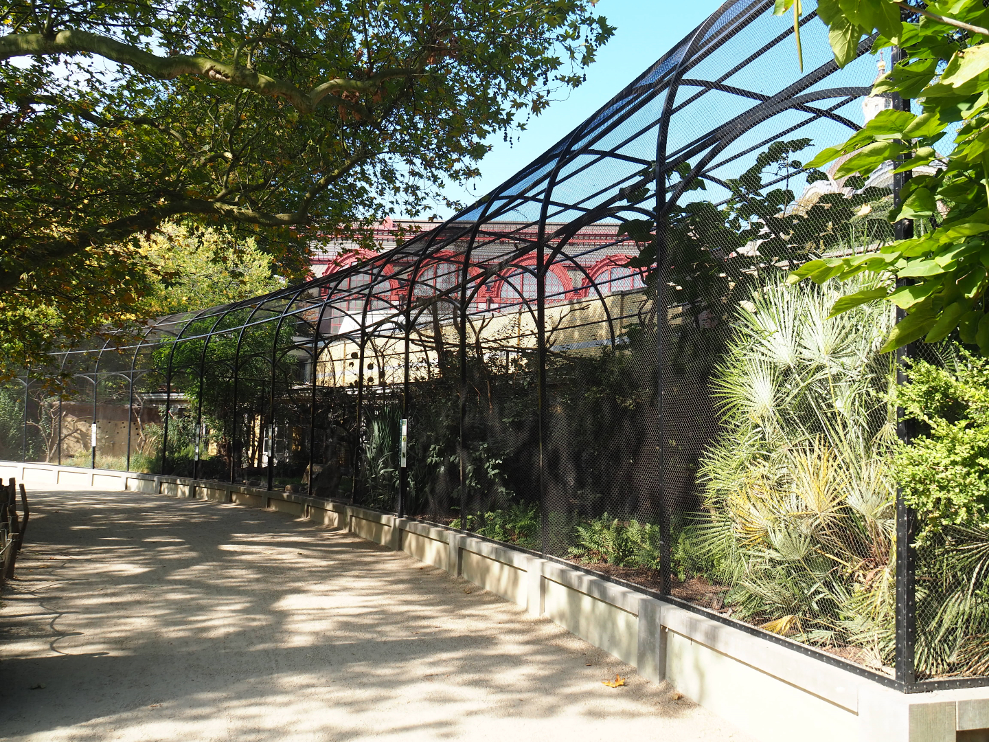 Bird house - Mixed outdoor aviaries, 2020-09-20