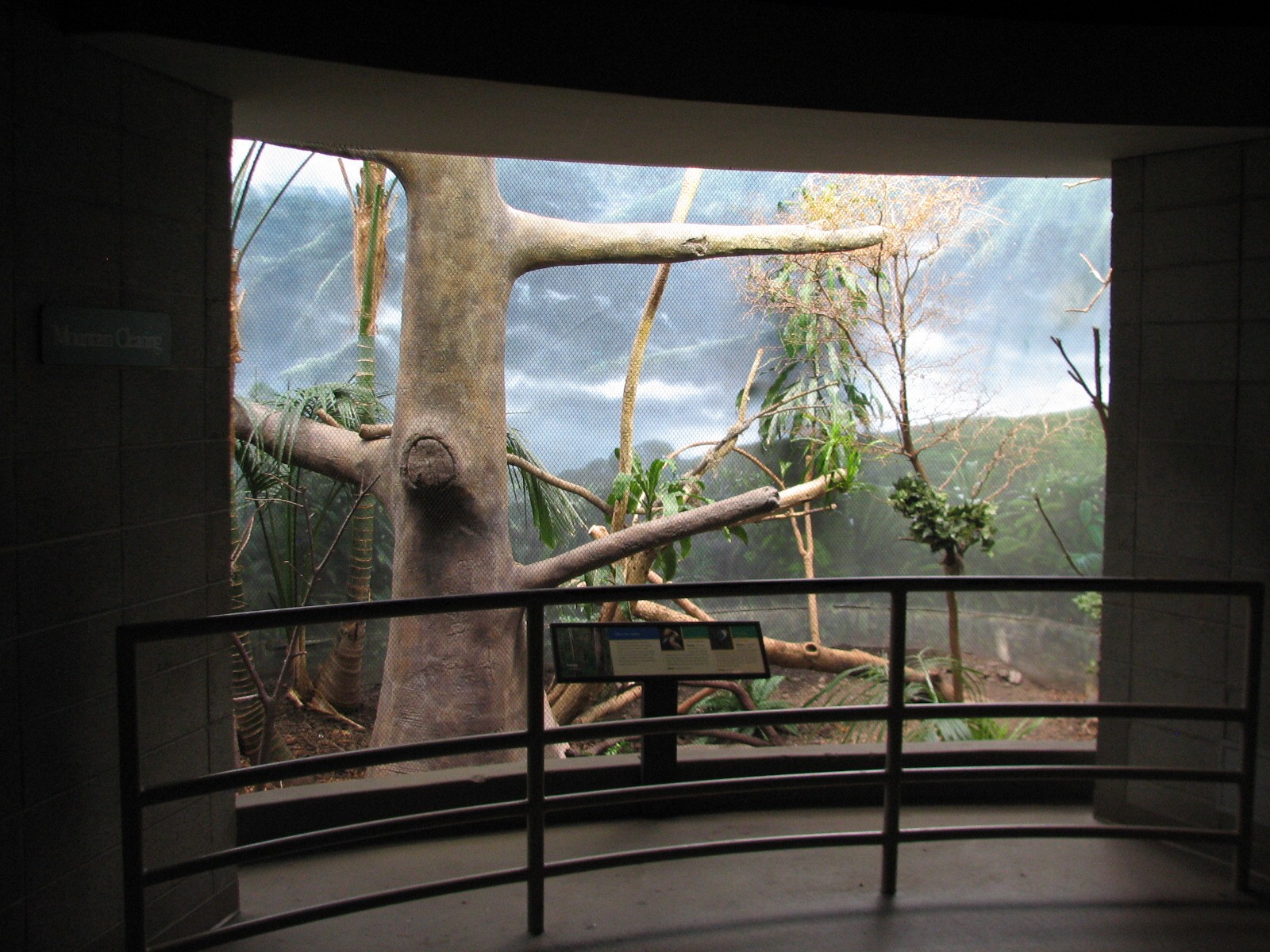 Bird House - Mountain Clearing Exhibit