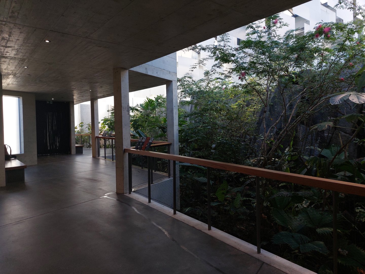 Bird house - neotropical section