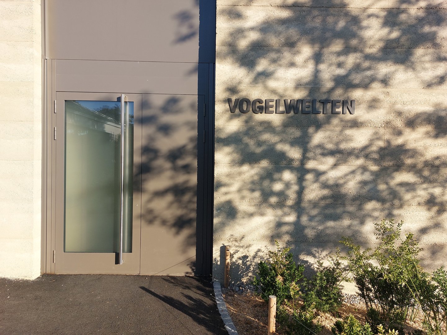 Bird house - neotropical section