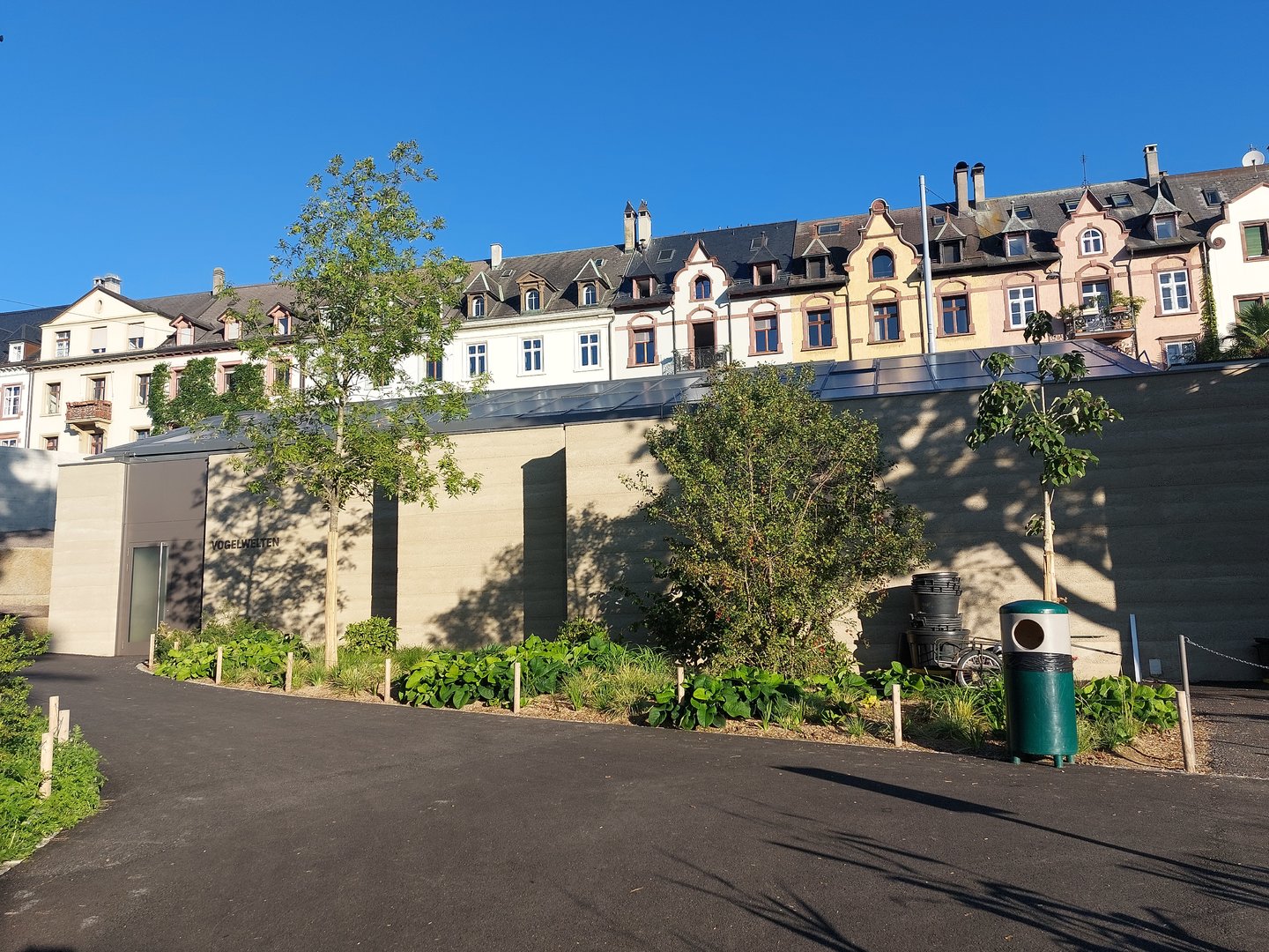 Bird house - neotropical section