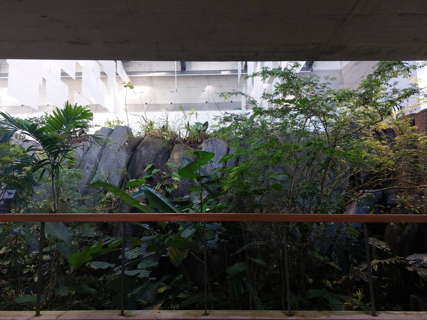 Bird house - Neotropical walkthrough