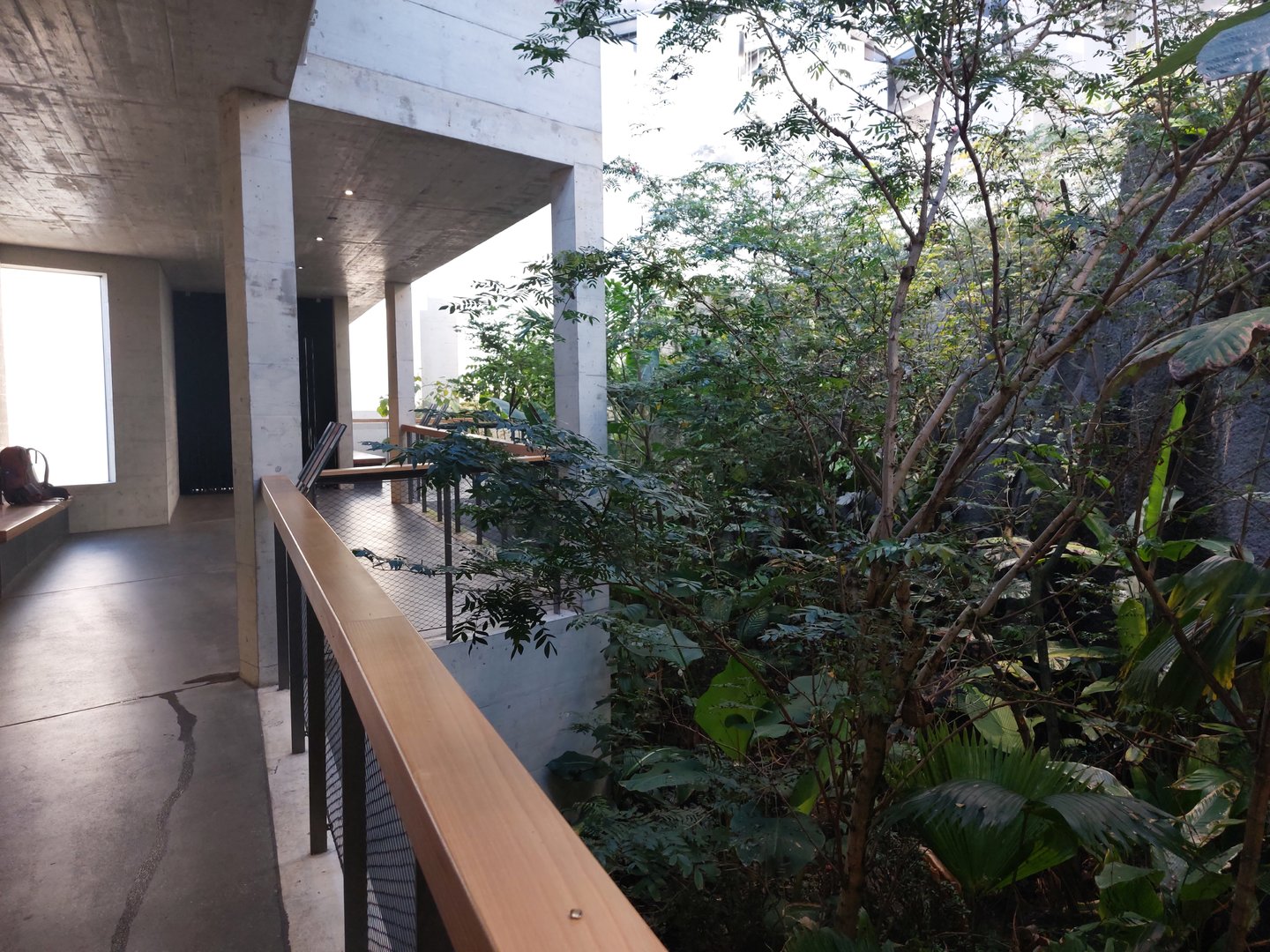 Bird house - Neotropical walkthrough