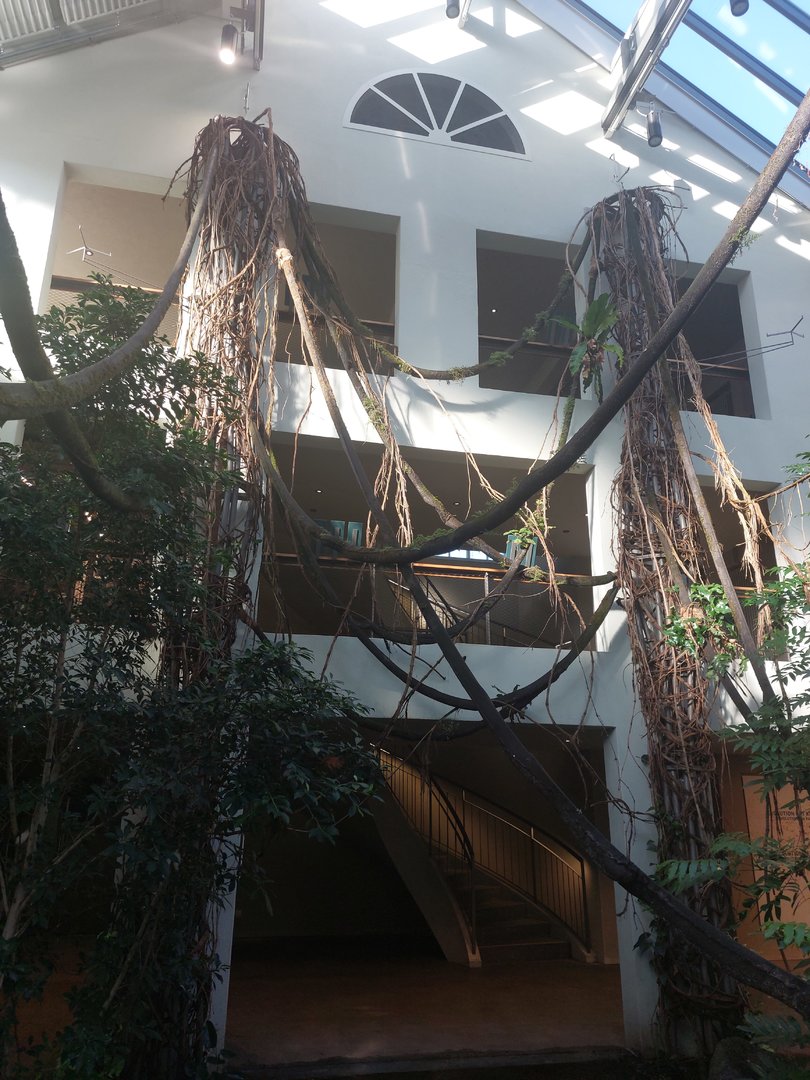 Bird house - observation deck