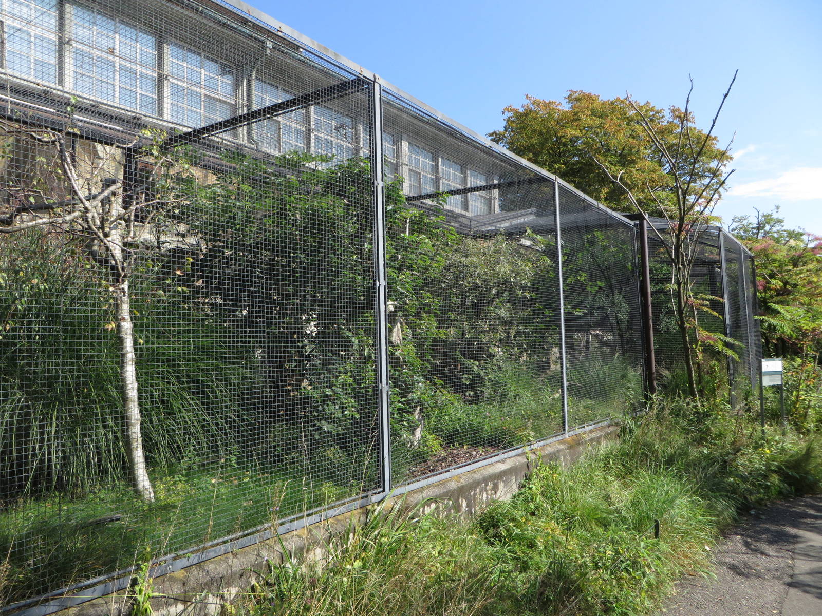 Bird house - outdoor aviaries
