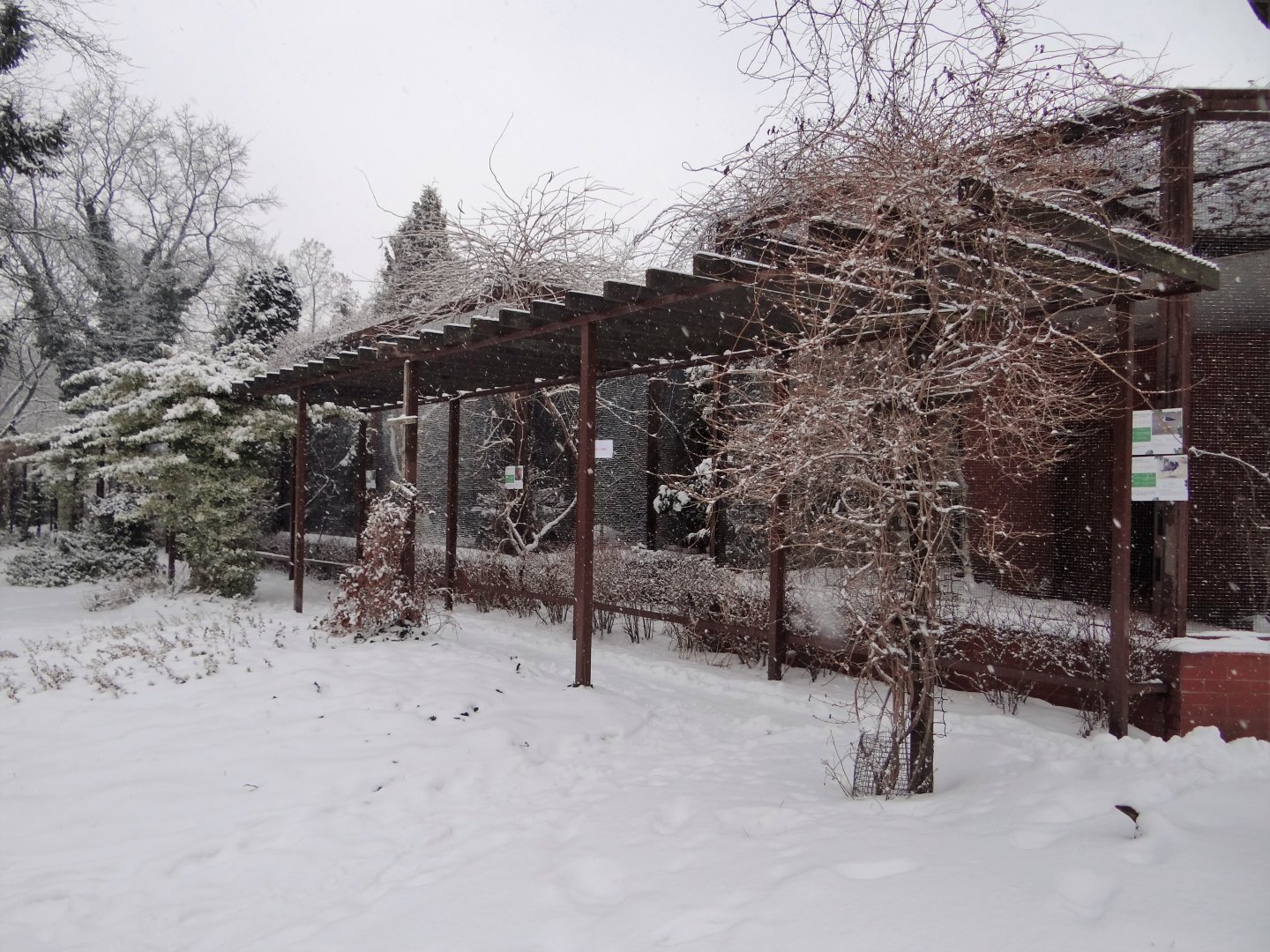 Bird House - outdoor aviaries