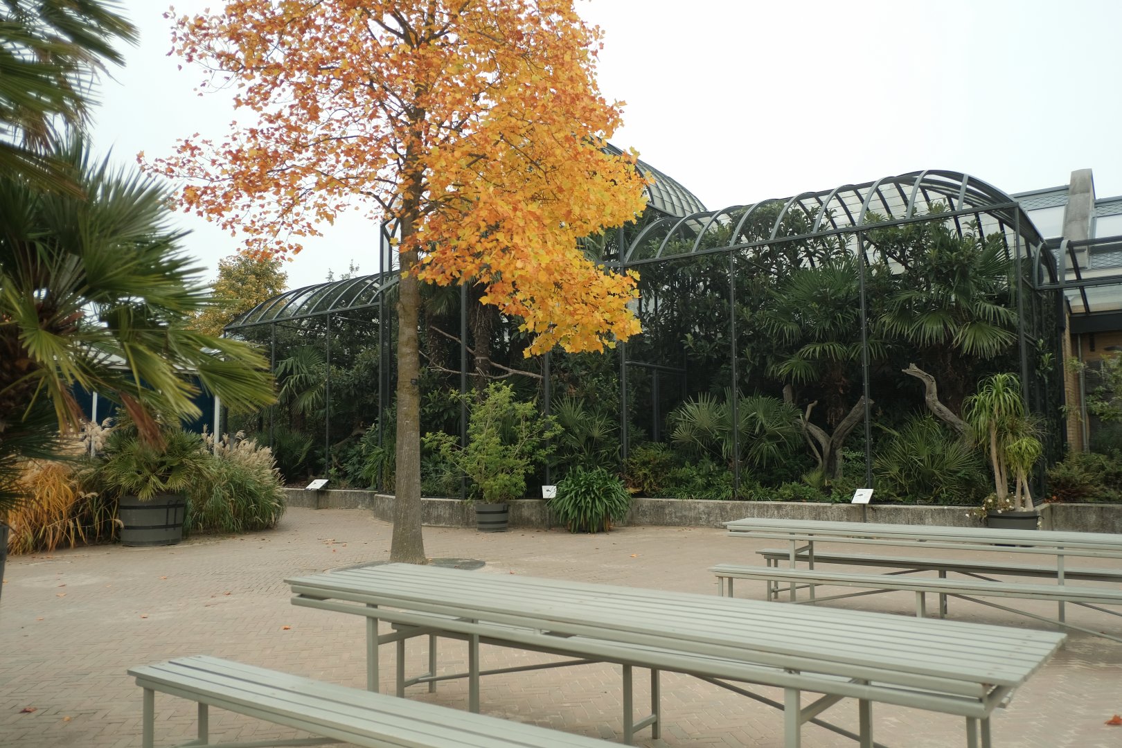 Bird House - Outdoor Aviaries