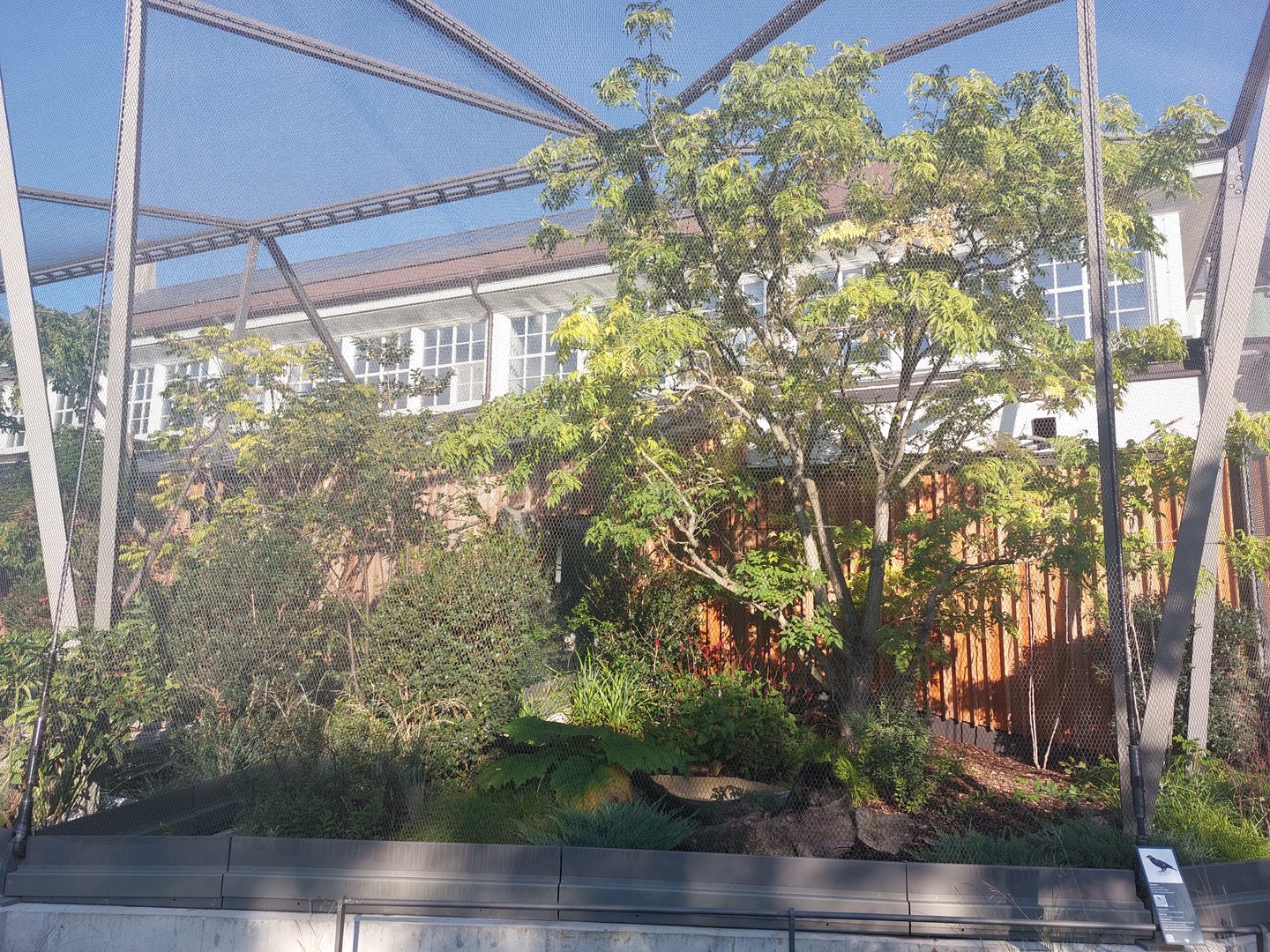 Bird house - Outdoor aviary example