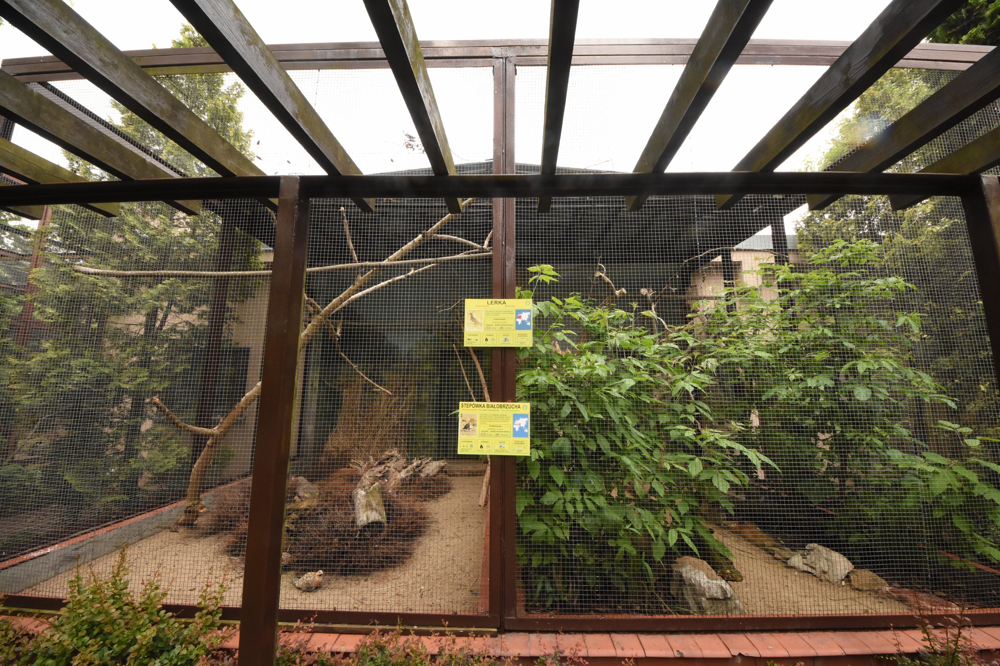 Bird house - Outdoor aviary