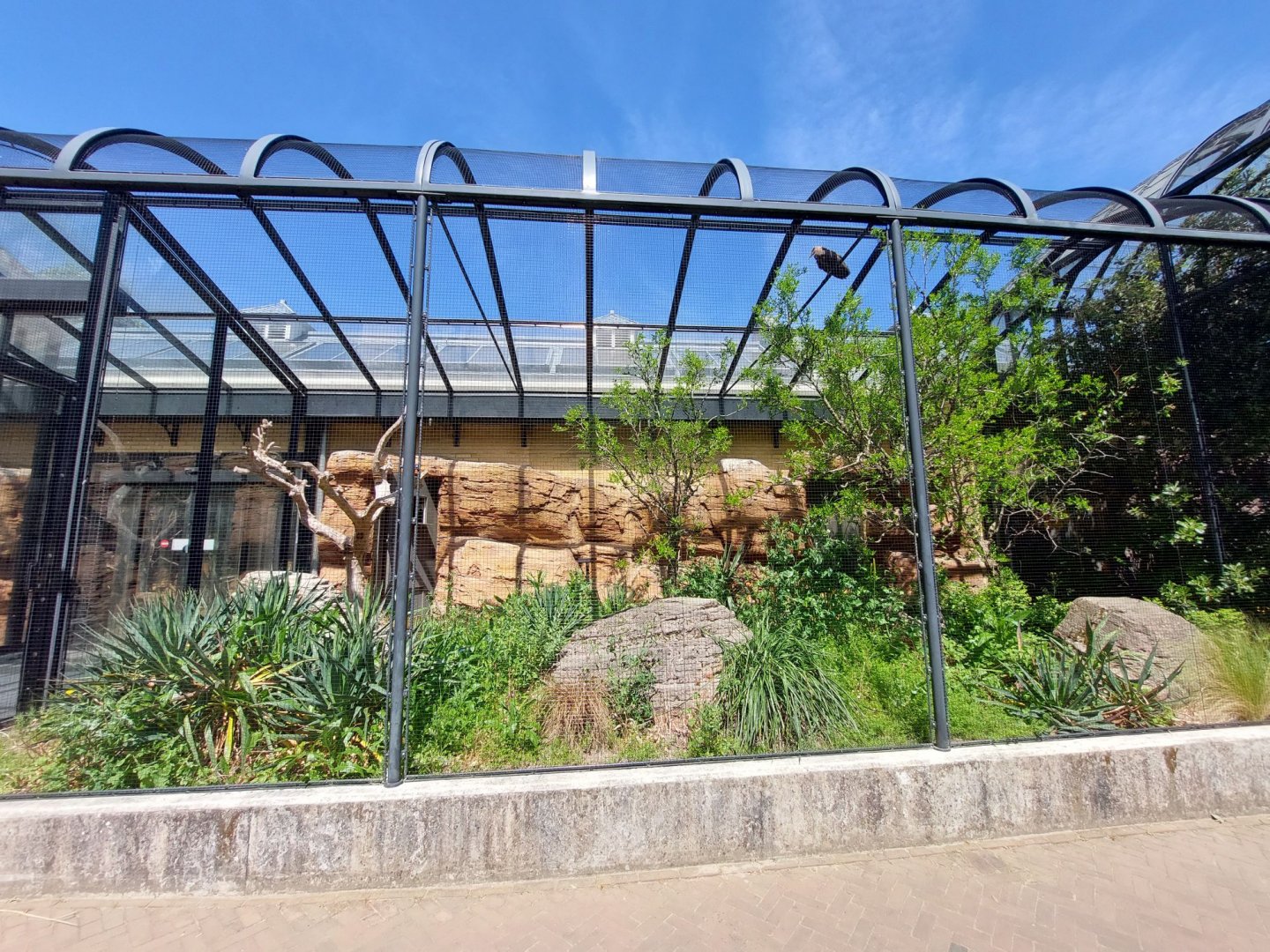 Bird House, Outdoor Desert Aviary 2 (From Walkthrough Exhibit)
