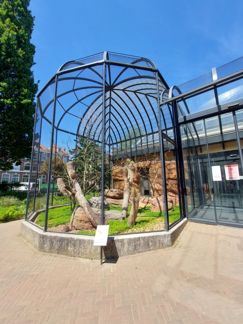 Bird House, Outdoor Desert Aviary