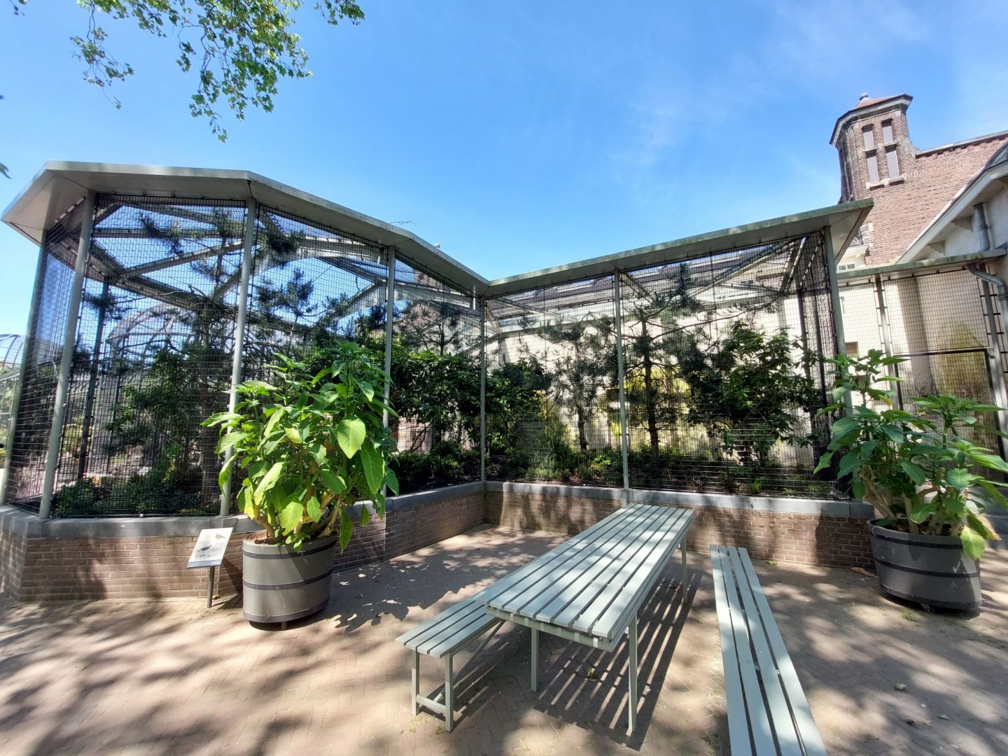 Bird House, Outdoor Himalayan Monal Aviary