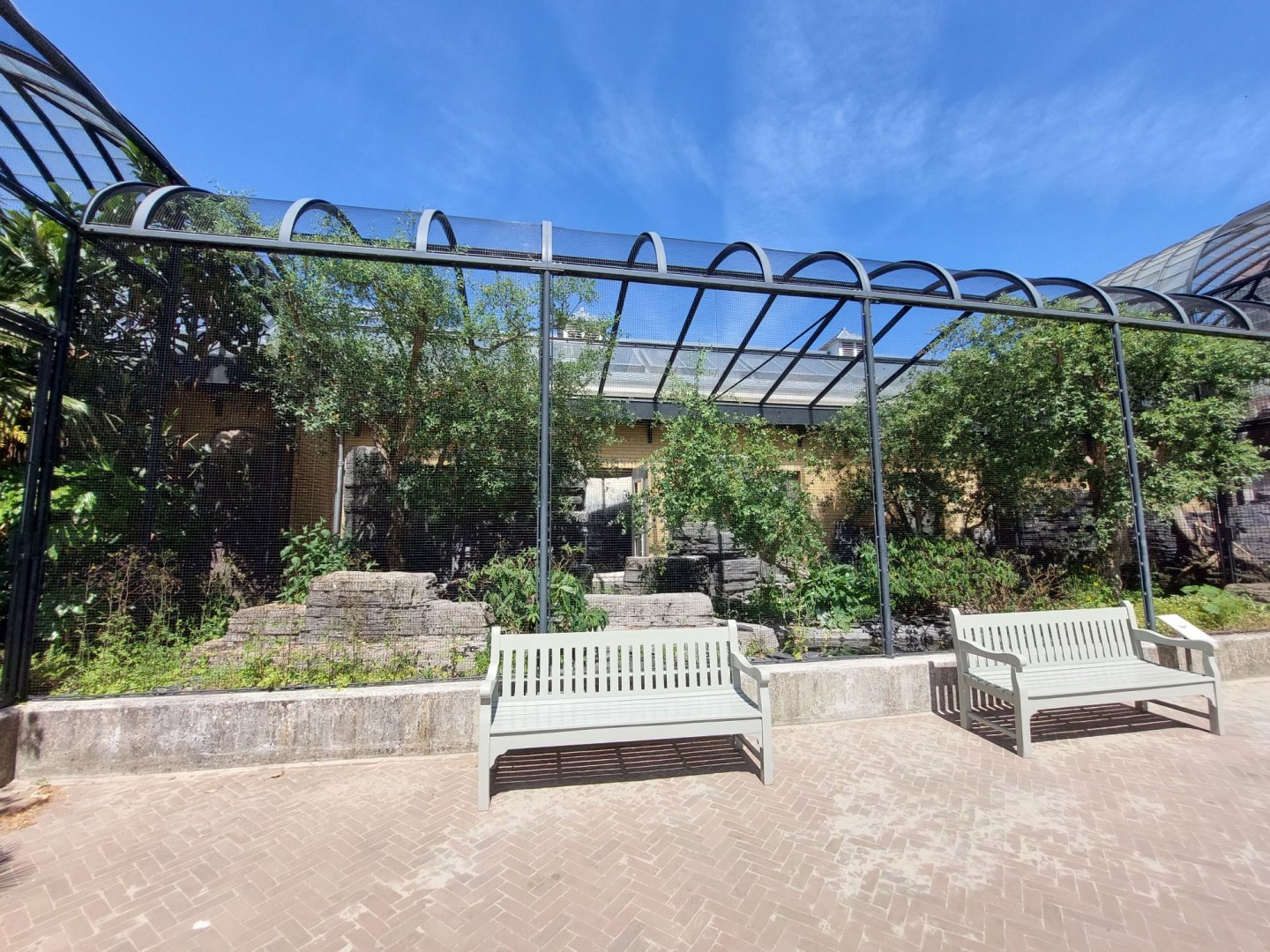 Bird House, Outdoor Inca Tern Aviary