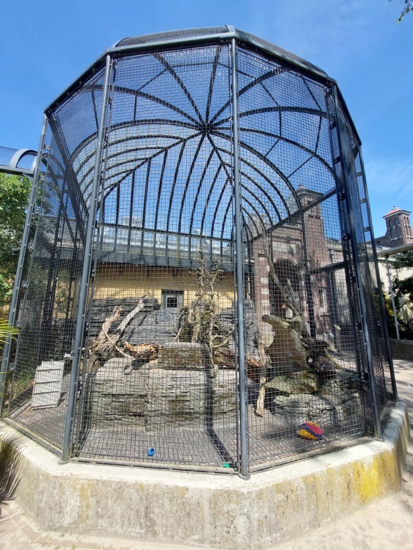 Bird House, Outdoor Kea Aviary