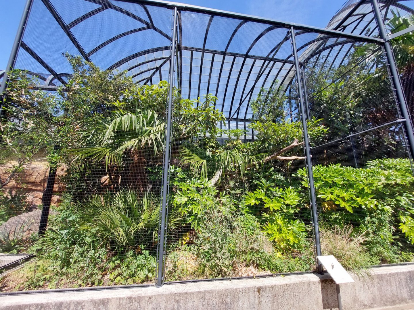 Bird House, Outdoor Tropical Aviary 1