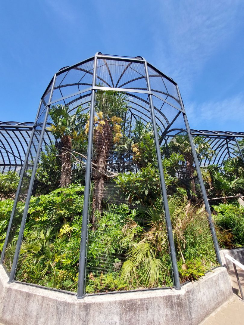 Bird House, Outdoor Tropical Aviary 2 (From Walkthrough Exhibit)