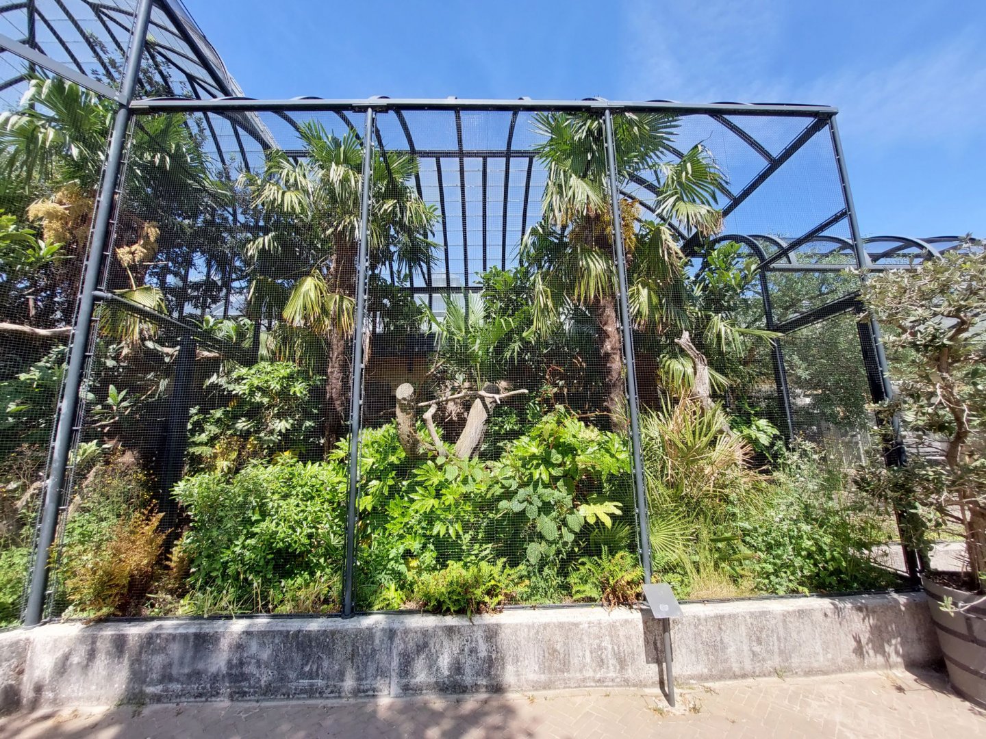 Bird House, Outdoor Tropical Aviary 3