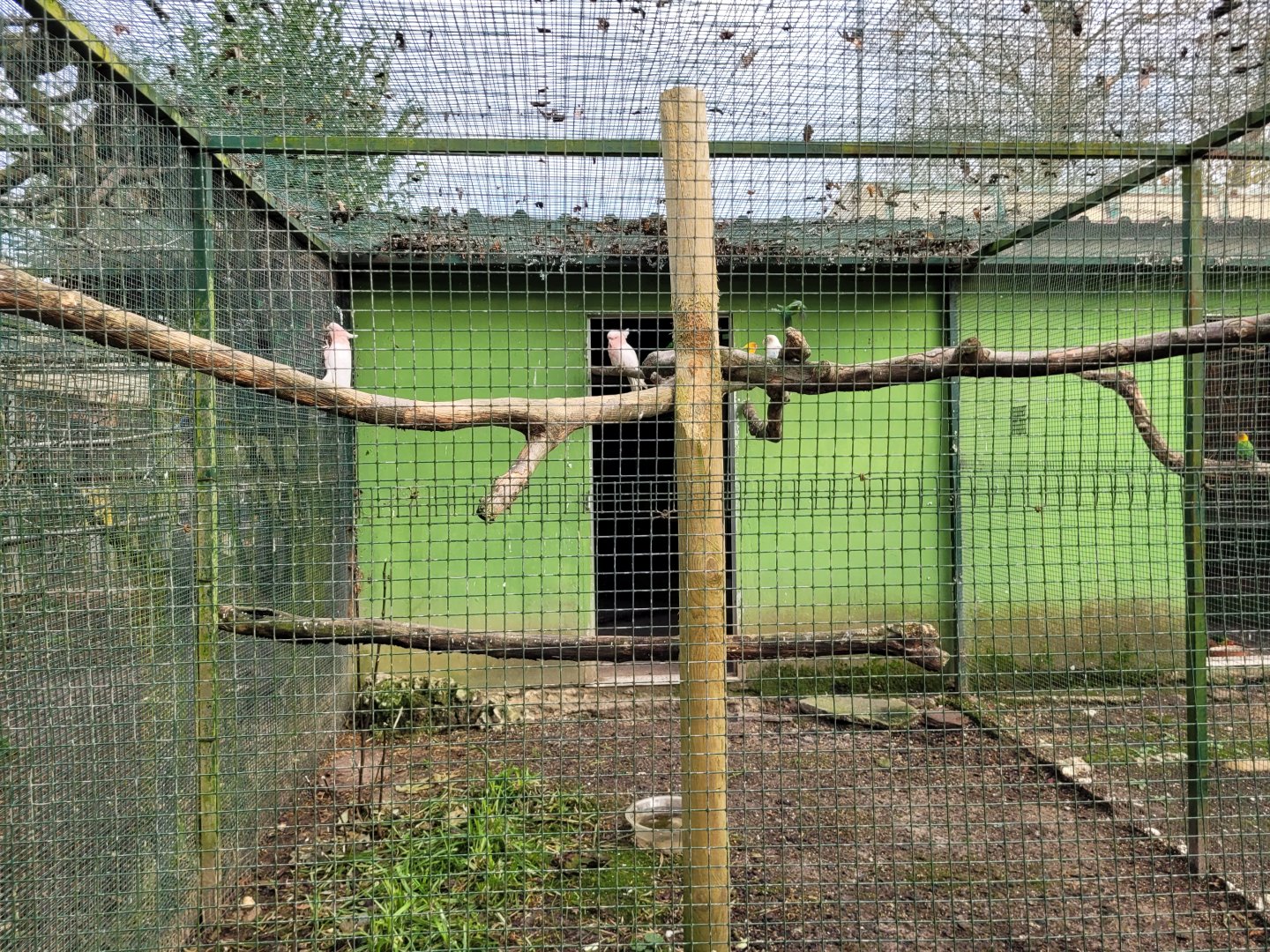 Bird House outdoors aviary #1 -Zoo de Santillana del Mar (2023)
