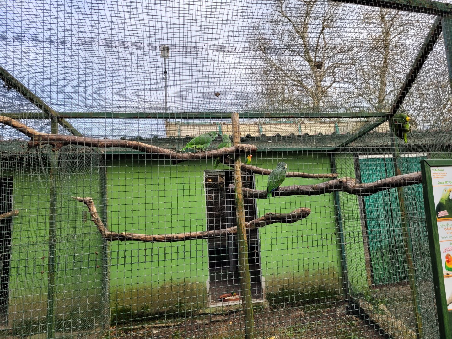 Bird House outdoors aviary #2 -Zoo de Santillana del Mar (2023)