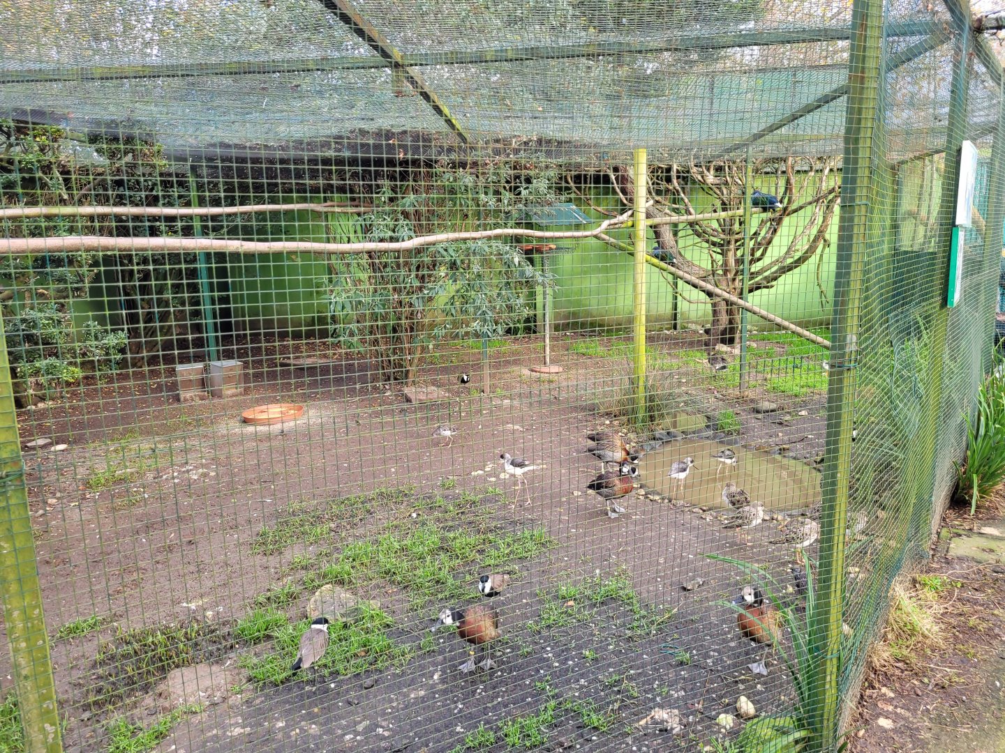 Bird House outdoors aviary #4 -Zoo de Santillana del Mar (2023)