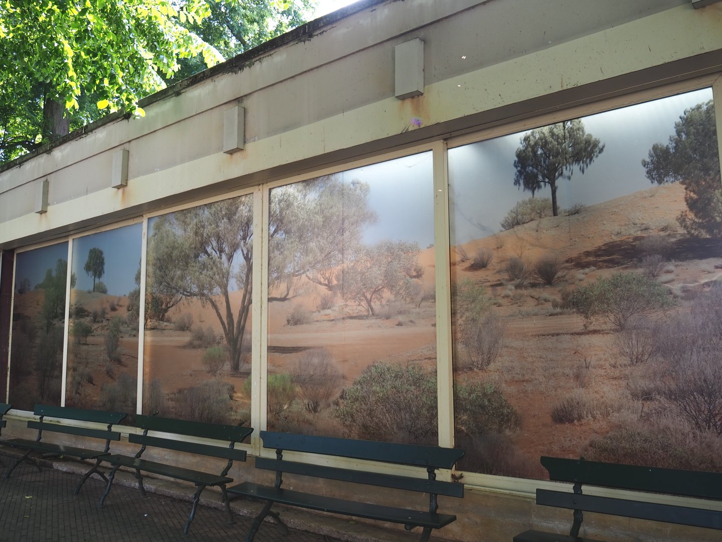 Bird house - Outside of new estrildid finch aviary with new landscape window graphic, 2021-07-17