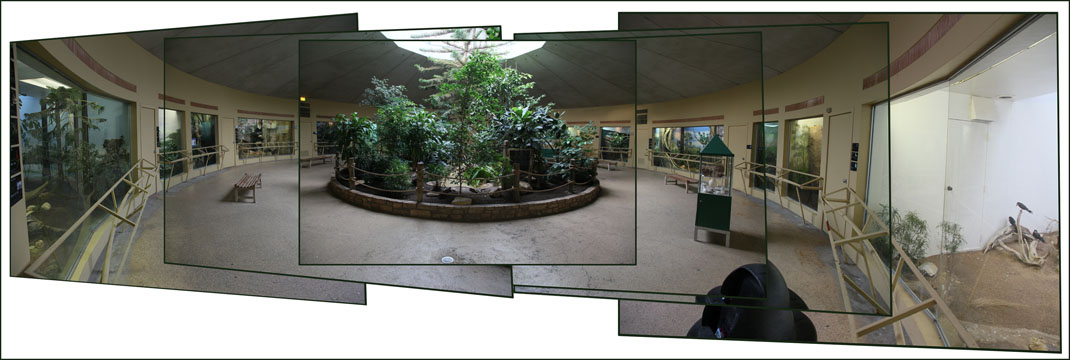 Bird House panorama