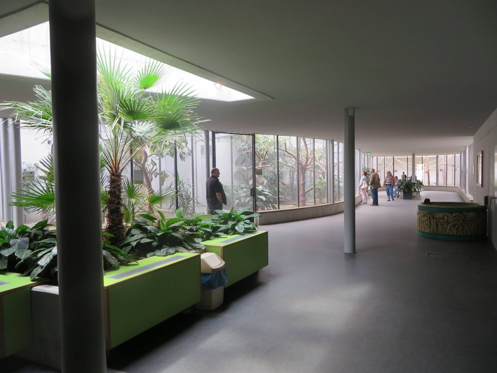 Bird house - parrot and South American section