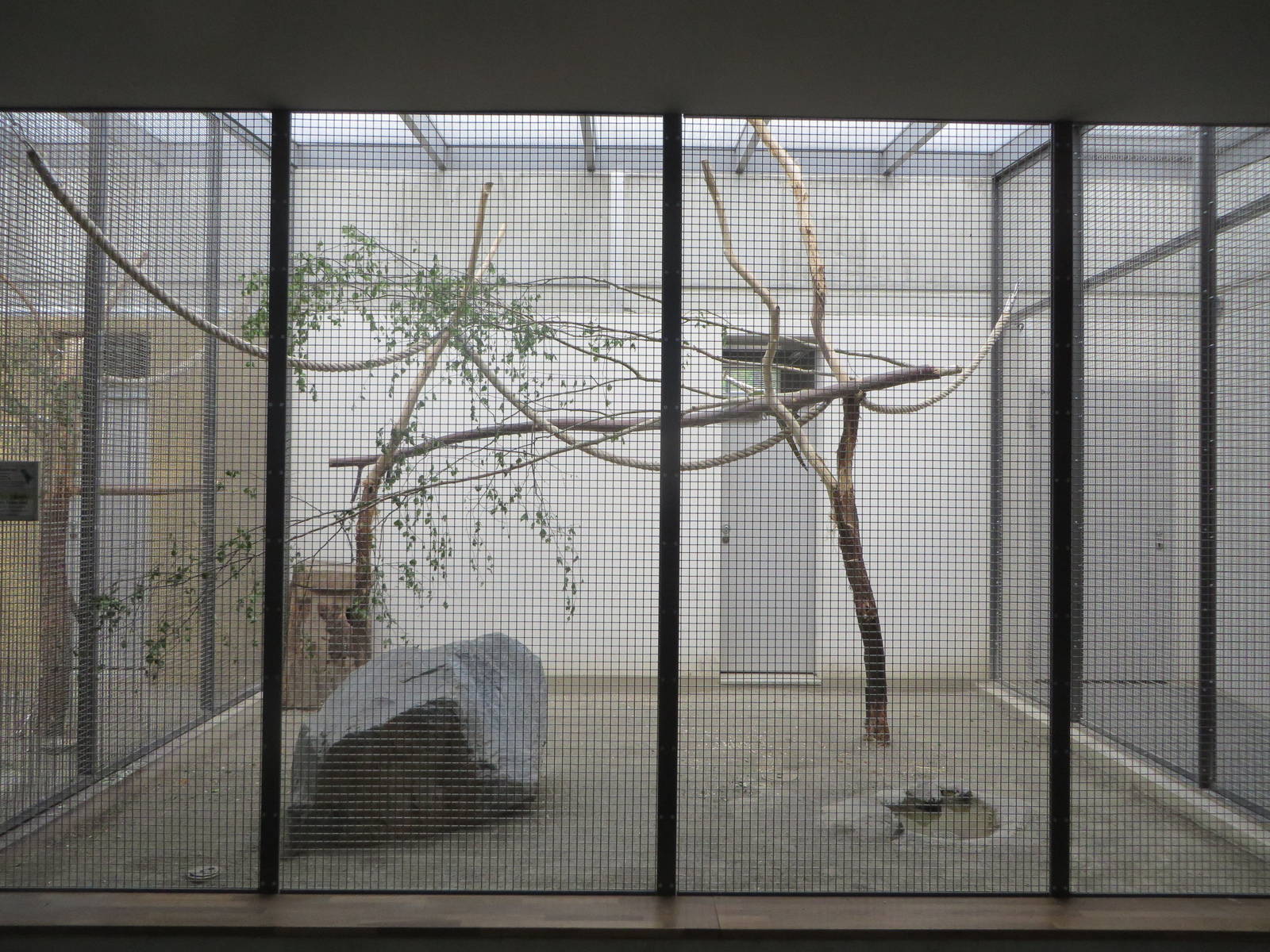 Bird house - parrot indoors