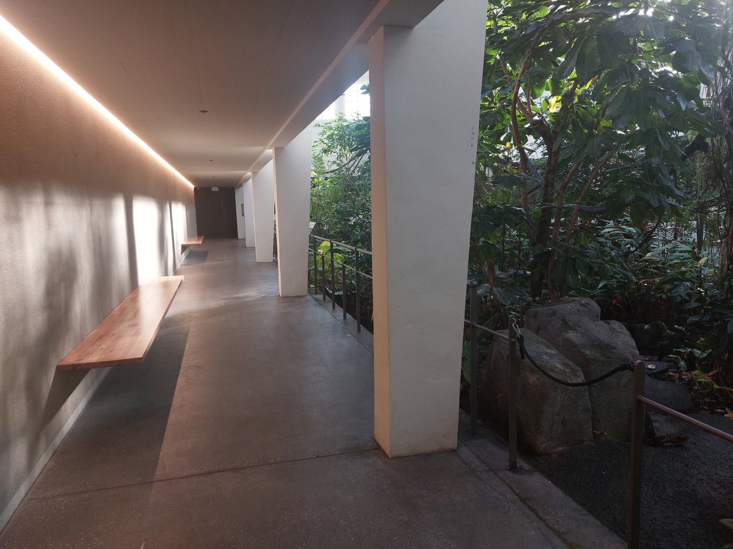 Bird house - pathway