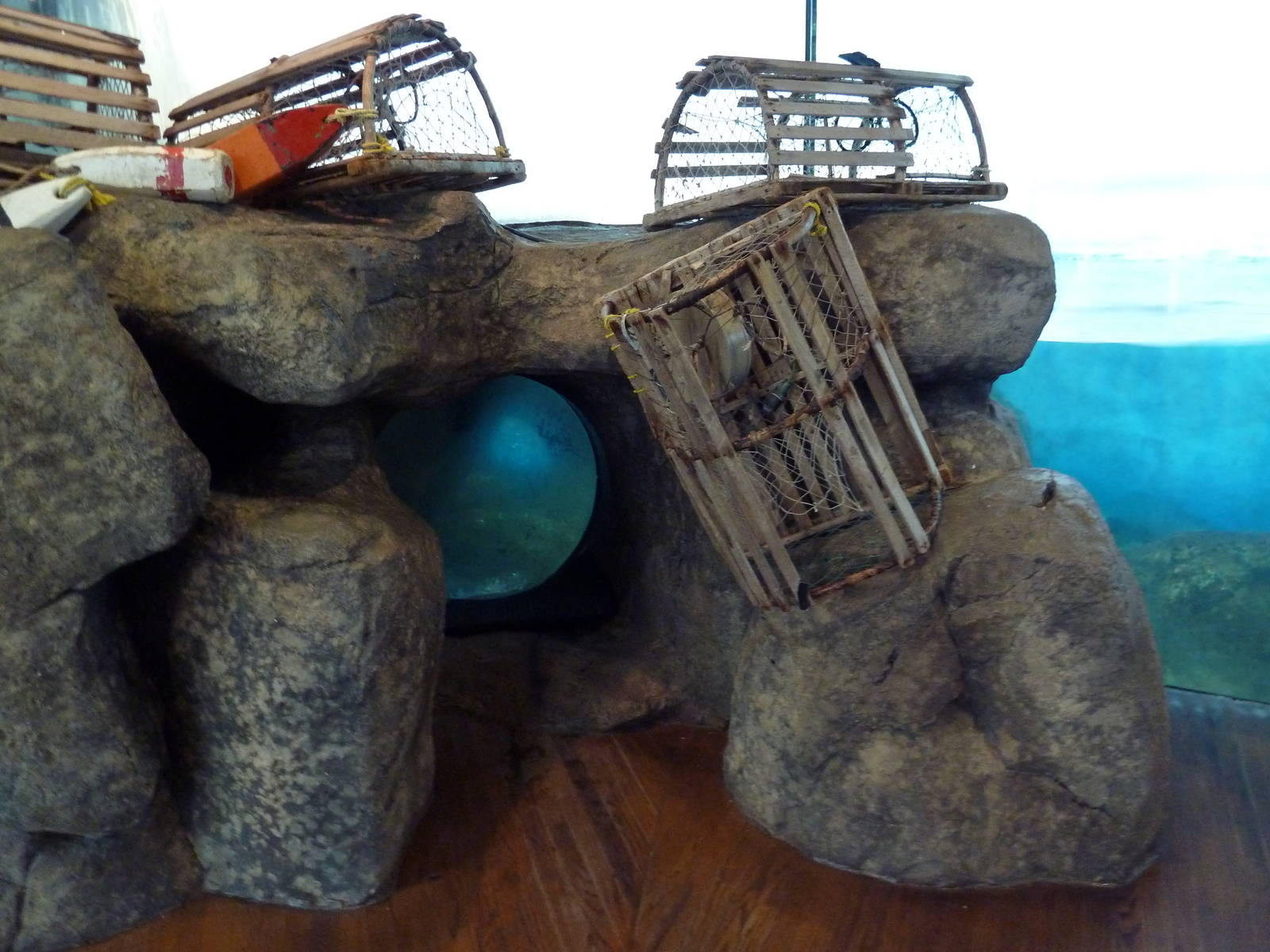 Bird House - Penguin Coast: King/Rockhopper/Gentoo Penguin Exhibit