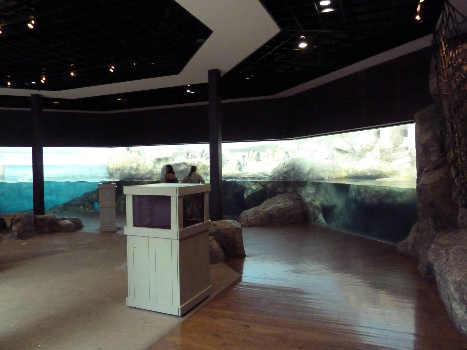 Bird House - Penguin Coast: King/Rockhopper/Gentoo Penguin Exhibit