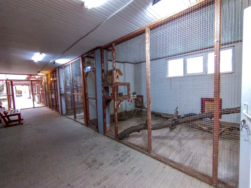 bird house plus exotic animals