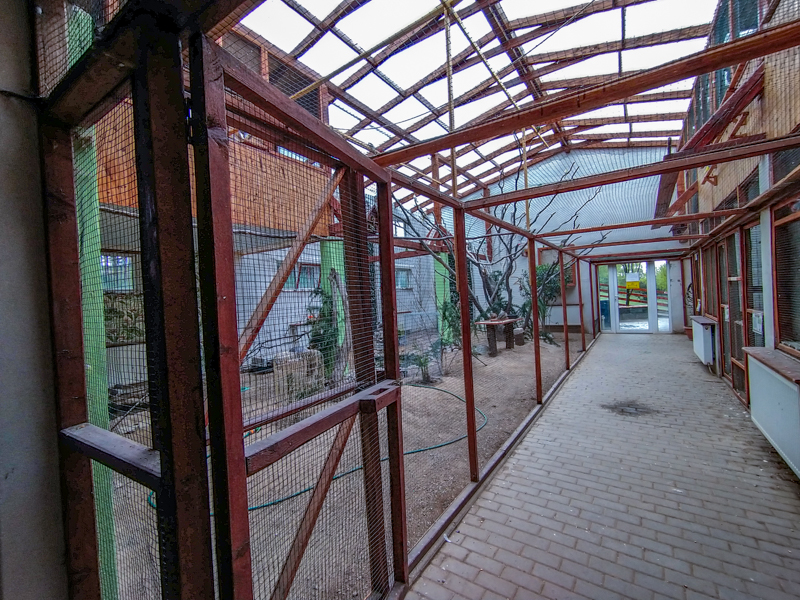 bird house plus exotic animals