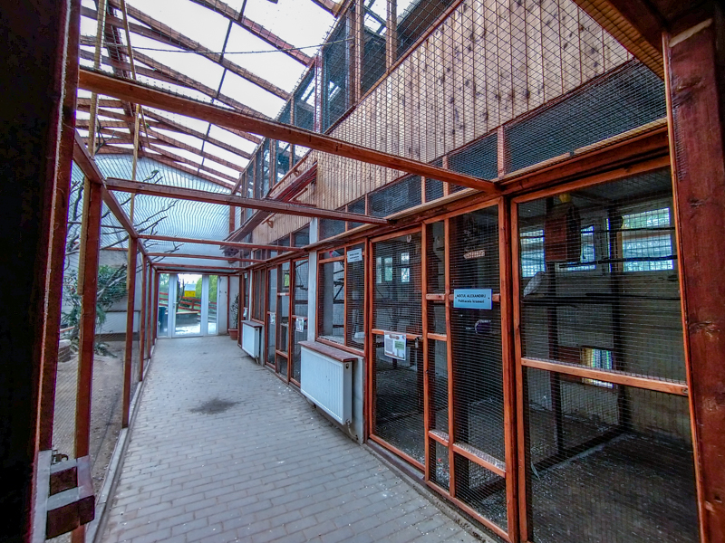 bird house plus exotic animals