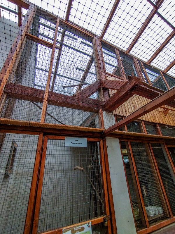 bird house plus exotic animals