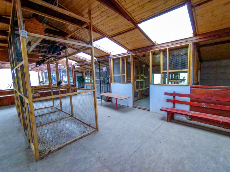 bird house plus exotic animals