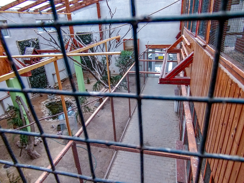 bird house plus exotic animals