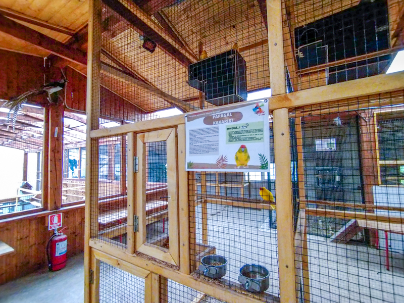 bird house plus exotic animals