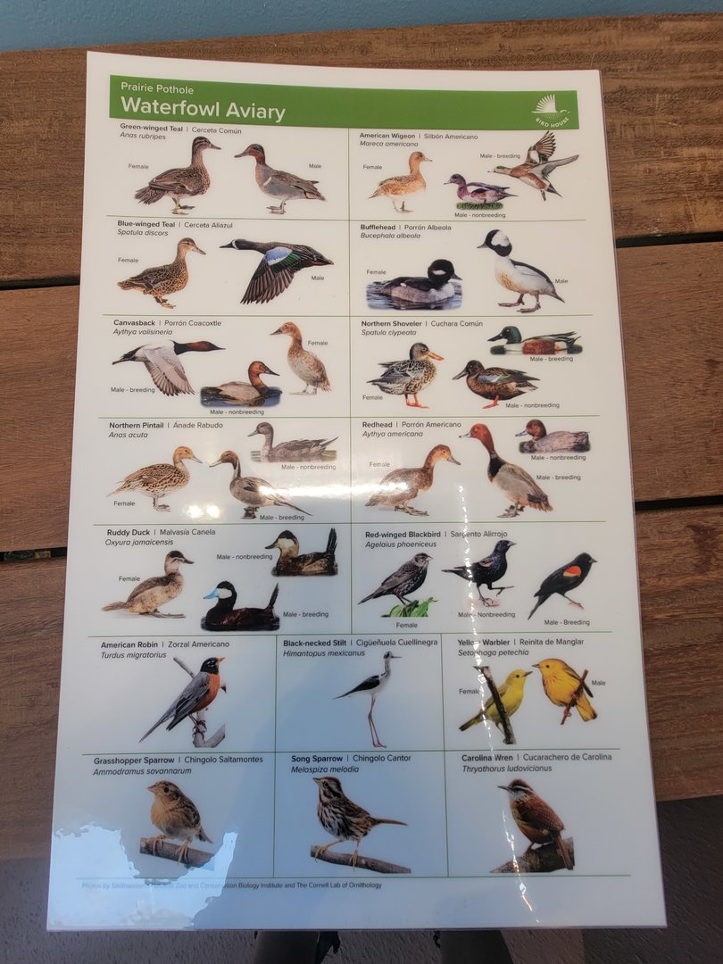 Bird House -  Prairie Pothole Aviary Species Guide