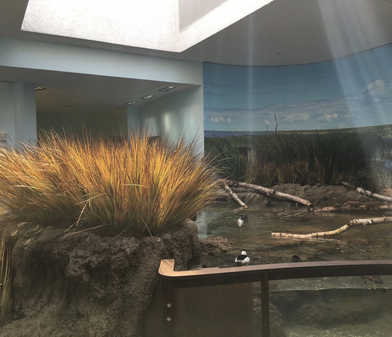 Bird House- Prairie Pothole Exhibit