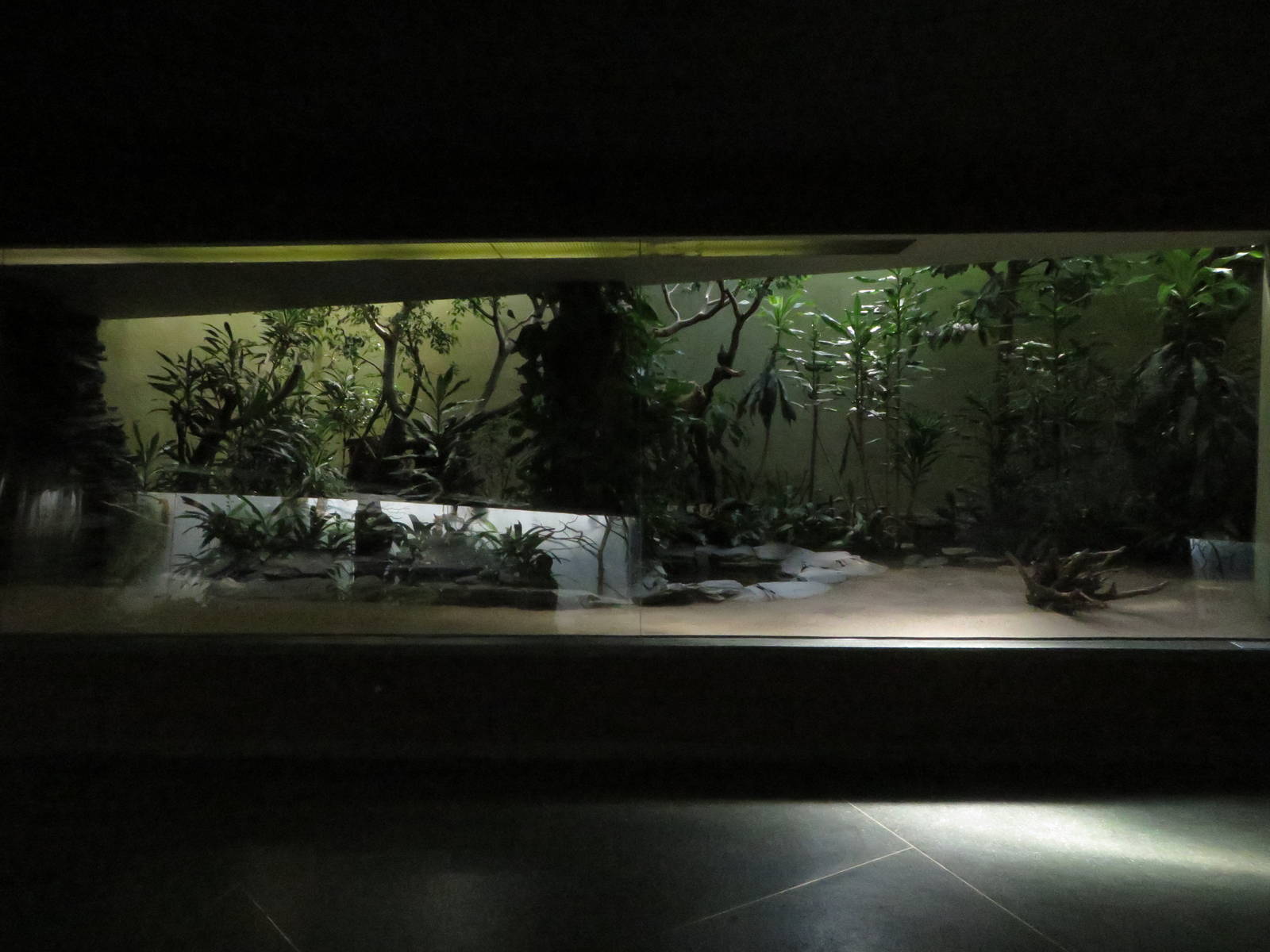 Bird house - Rainforest enclosure